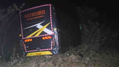 बस चालक चला रहा था नशे में गाड़ी, अनियंत्रित होकर टकराई झाड़ी से, सभी यात्री सुरक्षित बस चालक चला रहा था नशे में गाड़ी, अनियंत्रित होकर टकराई झाड़ी से, सभी यात्री सुरक्षित