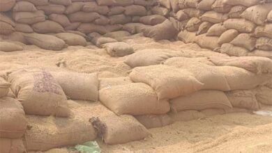 डैनेज का भूसा गायब कर दिए पेंड्री कला उपार्जन केंद्र का प्रबंधक, जमीन में बिखरा पड़ा किसानों का सोना डैनेज का भूसा गायब कर दिए पेंड्री कला उपार्जन केंद्र का प्रबंधक, जमीन में बिखरा पड़ा किसानों का सोना