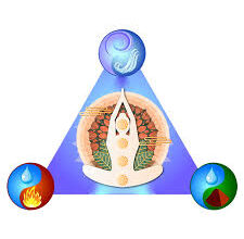 राज्य में 4 लाख 45 हजार 897 नागरिकों का ऑनलाईन प्रकृति परीक्षण किया गया