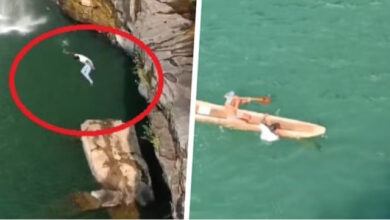 चित्रकोट जलप्रपात के उपर से एक युवक ने लगाई छलांग, वीडियो हुआ वायरल