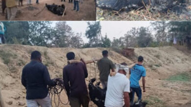 рдбреЛрдВрдЧрд░рдХрдЯреНрдЯрд╛ рдХреЗ рдЬрдВрдЧрд▓ рд╕реЗ рдкрд┐рддрд╛-рдкреБрддреНрд░ рдХреЛ рдЬрд╛рди рд╕реЗ рдорд╛рд░рдиреЗ рд╡рд╛рд▓реЗ рдЖрджрдордЦреЛрд░ рдирд░ рднрд╛рд▓реВ рдХрд╛ рдорд┐рд▓рд╛ рд╢рд╡ рдбреЛрдВрдЧрд░рдХрдЯреНрдЯрд╛ рдХреЗ рдЬрдВрдЧрд▓ рд╕реЗ рдкрд┐рддрд╛-рдкреБрддреНрд░ рдХреЛ рдЬрд╛рди рд╕реЗ рдорд╛рд░рдиреЗ рд╡рд╛рд▓реЗ рдЖрджрдордЦреЛрд░ рдирд░ рднрд╛рд▓реВ рдХрд╛ рдорд┐рд▓рд╛ рд╢рд╡