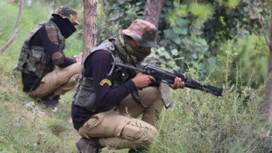 वर्ष 24 में सुरक्षाबलों ने चलाए 400 से अधिक एंटी नक्सल ऑपरेशन, 235 नक्सली हुए ढेर, 217 के शव बरामद वर्ष 24 में सुरक्षाबलों ने चलाए 400 से अधिक एंटी नक्सल ऑपरेशन, 235 नक्सली हुए ढेर, 217 के शव बरामद