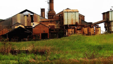 रघुनाथपुर गन्ना खरीदी केन्द्र को पुन: प्रारंभ करने वर्तमान में कोई योजना नहीं