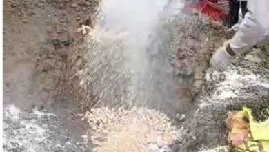 पोल्ट्री फार्म में बर्ड फ्लू का मिला केस, 5 हजार मुर्गी, 12 हजार चूजों के साथ 17 हजार अण्डे नष्ट पोल्ट्री फार्म में बर्ड फ्लू का मिला केस, 5 हजार मुर्गी, 12 हजार चूजों के साथ 17 हजार अण्डे नष्ट