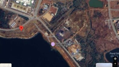 झांझ वेटलैंड की तबाही रोकने के लिए टेंडर निरस्त करने की मांग झांझ वेटलैंड की तबाही रोकने के लिए टेंडर निरस्त करने की मांग