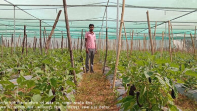 नारायणपुर की शानदार उपलब्धि, नीति आयोग ने दिया 10 करोड़ का पुरस्कार