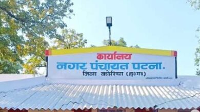 कोरिया जिले के नगर पंचायत पटना में ये जीते कोरिया जिले के नगर पंचायत पटना में ये जीते