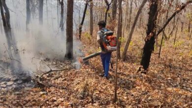 वनों को आग से बचाने की सूचना देने टोलफ्री नम्बर 18002337000 जारी