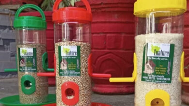 श्री सीमंधर स्वामी जैन मंदिर का महावीर जन्मकल्याणक महोत्सव – मूक पशु पक्षियों की जीव दया