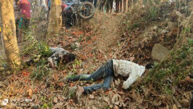 बाइक टकराई पेड़ से, दो युवकों की मौत बाइक टकराई पेड़ से, दो युवकों की मौत