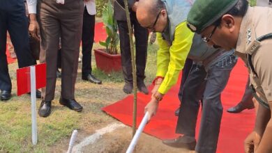 राज्यपाल ने कोरबा कलेक्ट्रेट परिसर में किया पौधारोपण राज्यपाल ने कोरबा कलेक्ट्रेट परिसर में किया पौधारोपण