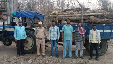 अवैध लकड़ी के साथ वाहन जप्त अवैध लकड़ी के साथ वाहन जप्त