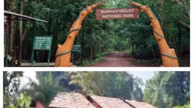 यूनेस्को के अस्थाई सूची में शामिल कांगेर वैली नेशनल पार्क में सेल्फहीलिंग हेतु होम स्टे नैचुरोपैथी सेंटर खुलेगा यूनेस्को के अस्थाई सूची में शामिल कांगेर वैली नेशनल पार्क में सेल्फहीलिंग हेतु होम स्टे नैचुरोपैथी सेंटर खुलेगा