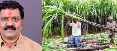 उपमुख्यमंत्री शर्मा के प्रयासो से होली के पूर्व गन्ना किसानों को मिली बड़ी सौगात, किया 5.22 करोड़ का भुगतान उपमुख्यमंत्री शर्मा के प्रयासो से होली के पूर्व गन्ना किसानों को मिली बड़ी सौगात, किया 5.22 करोड़ का भुगतान