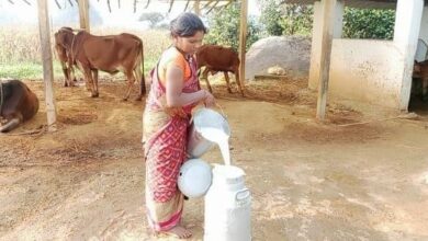 सफलता की नई इबादत लिख रहीं कोण्डागांव जिले की महिलाएं सफलता की नई इबादत लिख रहीं कोण्डागांव जिले की महिलाएं