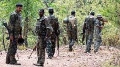 किस्टाराम के जंगल में हुई मुठभेड़ में 1 महिला सहित 2 नक्सली ढेर किस्टाराम के जंगल में हुई मुठभेड़ में 1 महिला सहित 2 नक्सली ढेर