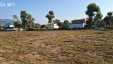 निस्तारी भूमि कैसे बदल गई निजी भूमि में, होगी जांच, कृषि विभाग के 4 अफसरों को नोटिस निस्तारी भूमि कैसे बदल गई निजी भूमि में, होगी जांच, कृषि विभाग के 4 अफसरों को नोटिस