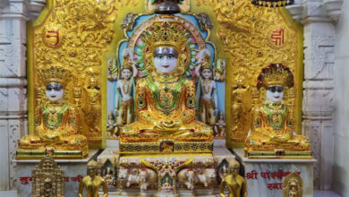 श्री सीमंधर स्वामी जैन मंदिर का 5 दिवसीय ध्वजा महोत्सव में 19 से घुमन्तु पशुओं के लिए हरी सब्जियों व चारा वितरण से होगा शुभारंभ