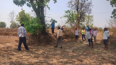 राजस्व प्रकरणों का त्वरित समाधान और जमीनी स्तर पर बदलाव की नई शुरुआत