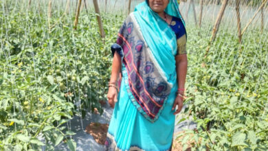 जब हौसले बुलंद हों तो कोई काम असंभव नहीं, हेमलता कमा रही है हर महीने 40 से 50 हजार