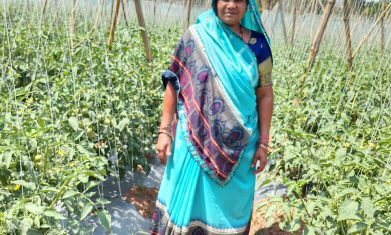 जब हौसले बुलंद हों तो कोई काम असंभव नहीं, हेमलता कमा रही है हर महीने 40 से 50 हजार जब हौसले बुलंद हों तो कोई काम असंभव नहीं, हेमलता कमा रही है हर महीने 40 से 50 हजार