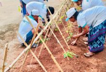आत्मसमर्पित माओवादियों को मिल रहा रोजगारोन्मुखी प्रशिक्षण