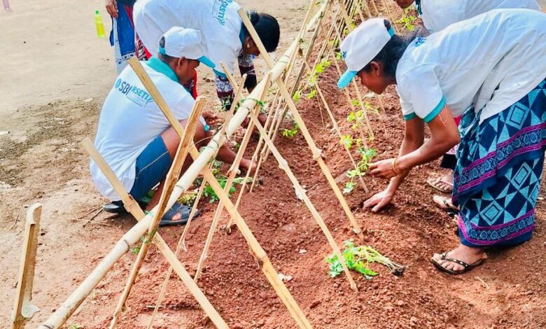 आत्मसमर्पित माओवादियों को मिल रहा रोजगारोन्मुखी प्रशिक्षण आत्मसमर्पित माओवादियों को मिल रहा रोजगारोन्मुखी प्रशिक्षण