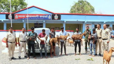 बकरी चोर गिरोह के 7 आरोपी गिरफ्तार, 16 बकरियों के साथ मॉडिफाइड इनोवा जब्त