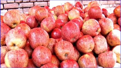 देशभर में व्यापारी कर रहे तुर्की और अजरबैजान के सामानों का बहिष्कार, छत्तीसगढ़ के व्यापारी भी करें