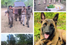 सीआरपीएफ के जवानों ने गार्ड ऑफ ऑनर के साथ बहादुर डॉग रोलो को दी अंतिम विदाई