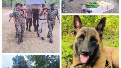 सीआरपीएफ के जवानों ने गार्ड ऑफ ऑनर के साथ बहादुर डॉग रोलो को दी अंतिम विदाई