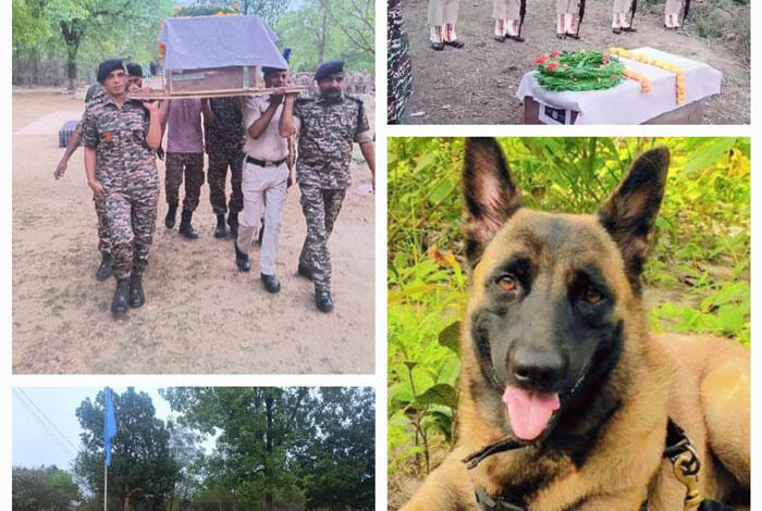 सीआरपीएफ के जवानों ने गार्ड ऑफ ऑनर के साथ बहादुर डॉग रोलो को दी अंतिम विदाई सीआरपीएफ के जवानों ने गार्ड ऑफ ऑनर के साथ बहादुर डॉग रोलो को दी अंतिम विदाई