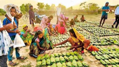 बेमौसम बारिश से प्रभाावित तेंदूपत्ता खरीदी पर लगा ग्रहण