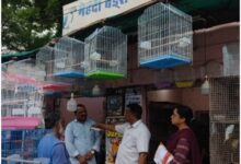 पालतु पशु दुकानों का औचक निरीक्षण , नियमों के उल्लंघन पर कार्रवाई की चेतावनी