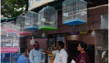 पालतु पशु दुकानों का औचक निरीक्षण , नियमों के उल्लंघन पर कार्रवाई की चेतावनी