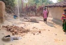 हाथी ने कुचला 2 महिलाओं को, मौत, एक ग्रामीण भी घायल