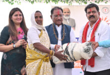 दलदली सहित वनांचल के गांवों में पेयजल संकट का होगा स्थायी समाधान: मुख्यमंत्री साय