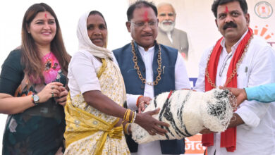 दलदली सहित वनांचल के गांवों में पेयजल संकट का होगा स्थायी समाधान: मुख्यमंत्री साय