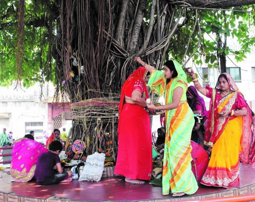 पति की लंबी आयु की कामना के लिए सुहागिनों ने रखा वट सावित्री का व्रत पति की लंबी आयु की कामना के लिए सुहागिनों ने रखा वट सावित्री का व्रत