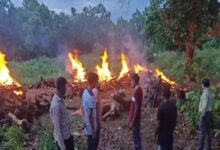 मारे गये आंध्र-तेलंगाना के 5 नक्सली के परिजन होने का साक्ष्य नहीं होने से उनके शव का किया गया अंतिम संस्कार – सुंदरराज पी.