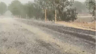 छत्तीसगढ़ के कई हिस्सों में फिर आंधी-तूफान; कहीं बारिश तो कहीं ओले