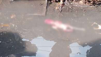 आरंग में नाली से मिला 4 महीने का भ्रूण