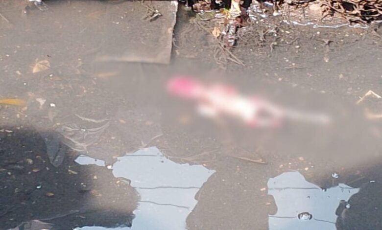 आरंग में नाली से मिला 4 महीने का भ्रूण आरंग में नाली से मिला 4 महीने का भ्रूण