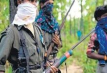 बस्तर नहीं हुआ है नक्सल मुक्त, 4 जिले अभी भी अति नक्सल प्रभावित