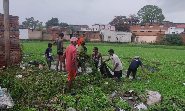 सतबहनिया तालाब को जलकुम्भी से मुक्त करने व्यापक अभियान सतबहनिया तालाब को जलकुम्भी से मुक्त करने व्यापक अभियान