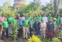 ग्रीन आर्मी ने कबाड़ की जुगाड से रोशन किया सखी सहेली गार्डन