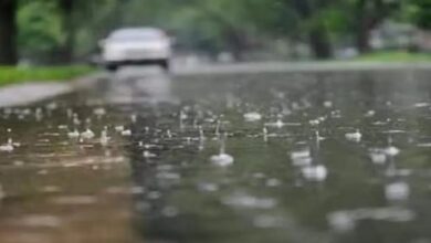 प्रदेश में बारिश और तूफान की संभावना, IMD ने किया अलर्ट