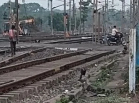 ट्रैक्टर से गिरकर ग्रामीण की मौत ट्रैक्टर से गिरकर ग्रामीण की मौत