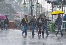 प्रदेश में मानसून मेहरबान, रायपुर सहित 10 जिलों में ऑरेंज अलर्ट