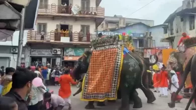 रथ यात्रा में शामिल हाथी हुआ बेकाबू, पढ़े पूरी खबर